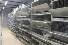 Фейки наших конкурентов! На что обратить внимание при выборе оборудования? Фейки наших конкурентов! На что обратить внимание при выборе оборудования?