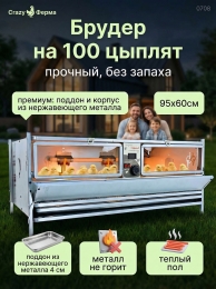 Брудеры для цыплят