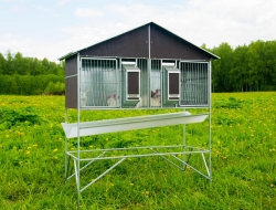 Кролики и клетки