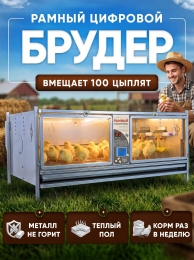 Птицеводство Птицеводство
