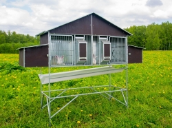 Кролики и клетки