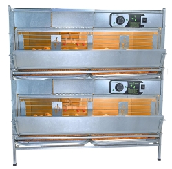 Брудеры для цыплят