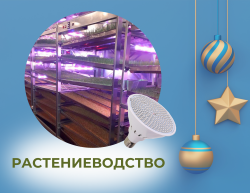 Растениеводство