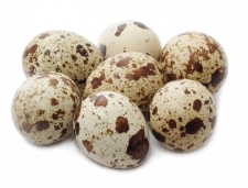 Инкубационное яйцо