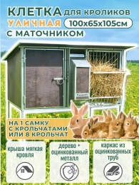 Кролики и клетки