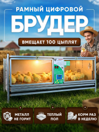 Птицеводство Птицеводство
