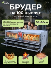 Брудеры для цыплят
